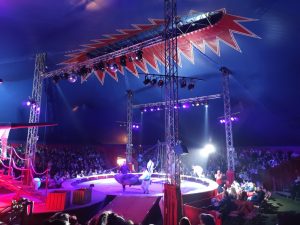 Parenlor spectacle cirque